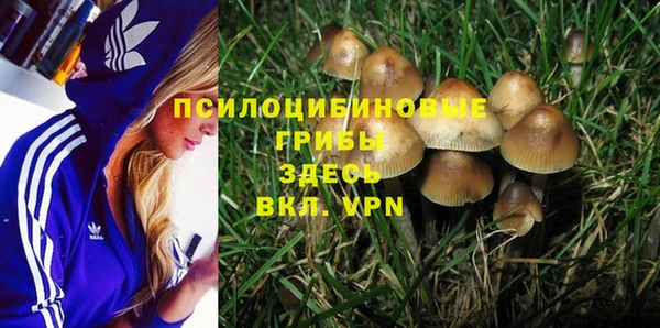 мдма Богданович