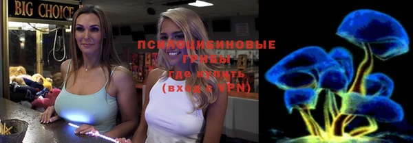 mdpv Богородицк