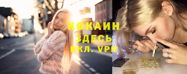 mdpv Богородицк