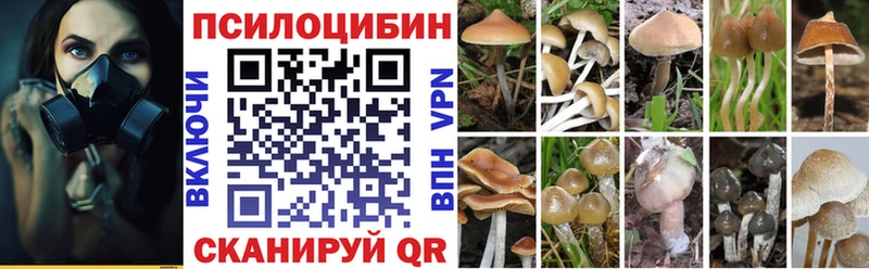 Галлюциногенные грибы GOLDEN TEACHER  Донской 